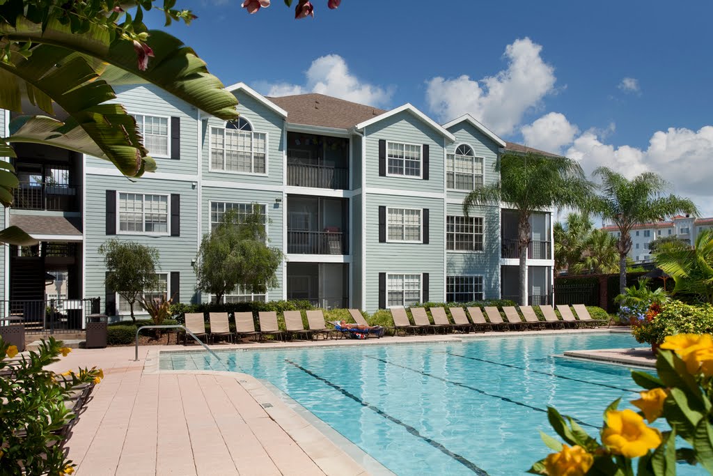 Best Apartment Living In South Tampa - Dive In Tampa Bay